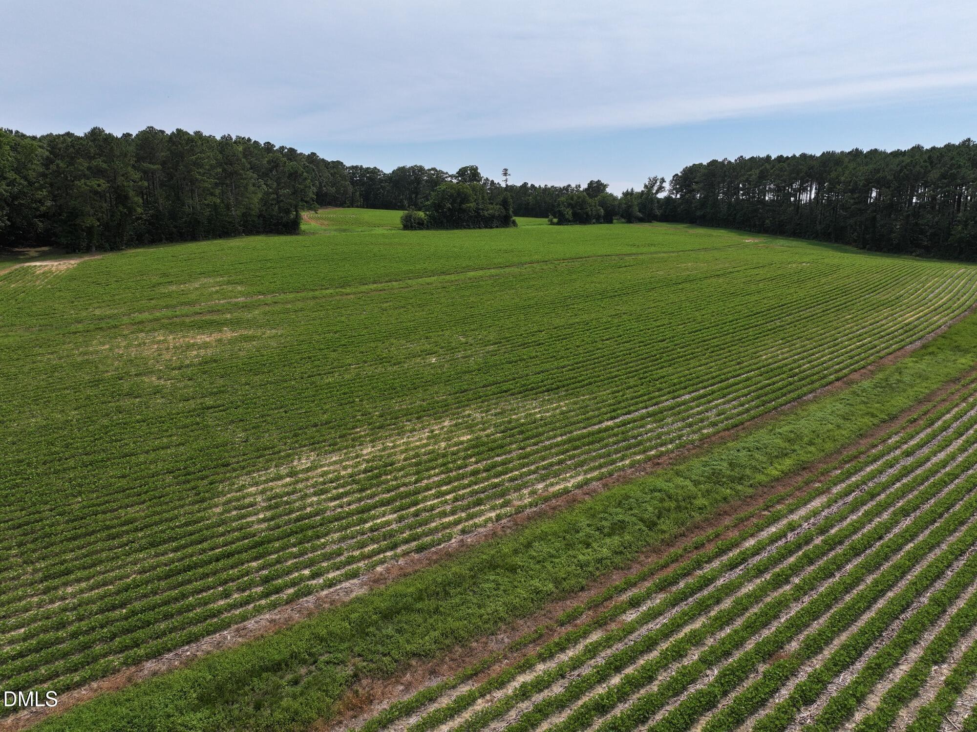Lot 3 Claude Lewis Road Property Photo 4