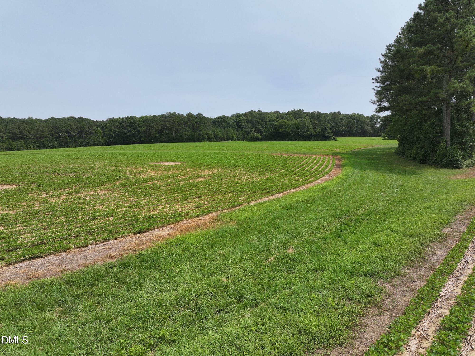 Lot 3 Claude Lewis Road Property Photo 6