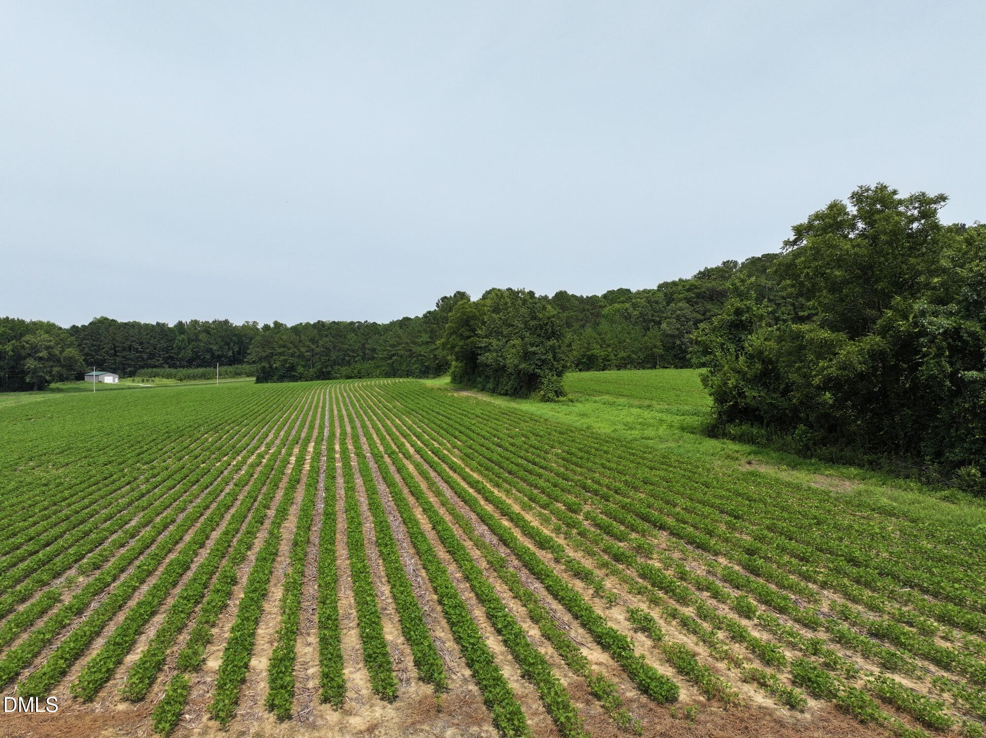 Lot 3 Claude Lewis Road Property Photo 9
