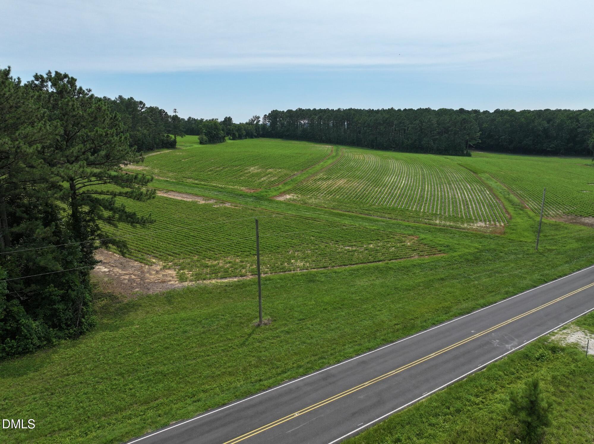 Lot 2 Claude Lewis Road Property Photo 2