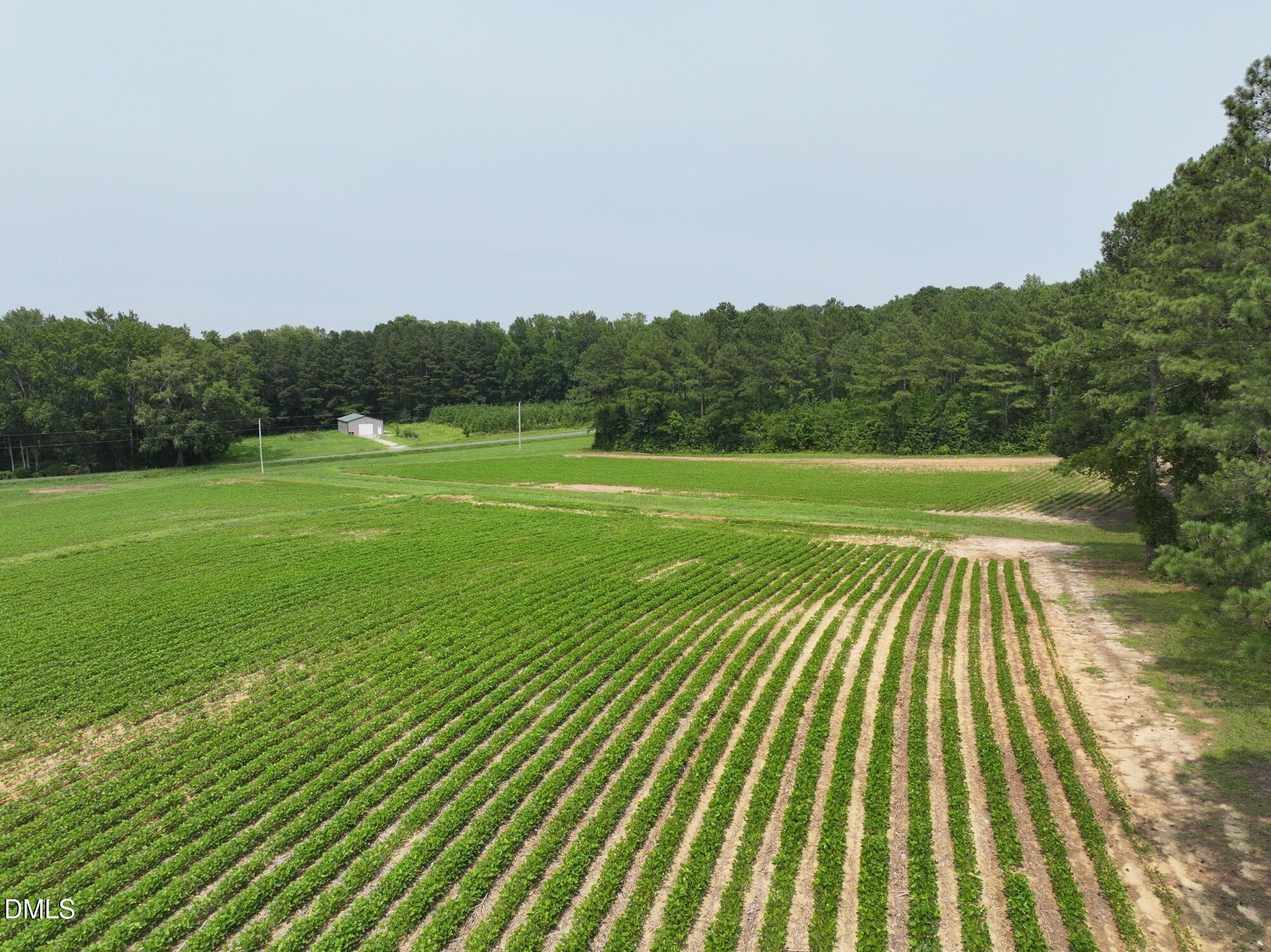 Lot 2 Claude Lewis Road Property Photo 3