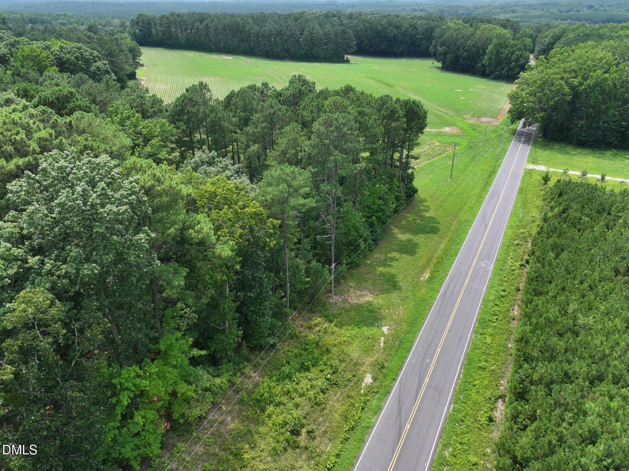 Lot 2 Claude Lewis Road Property Photo 4