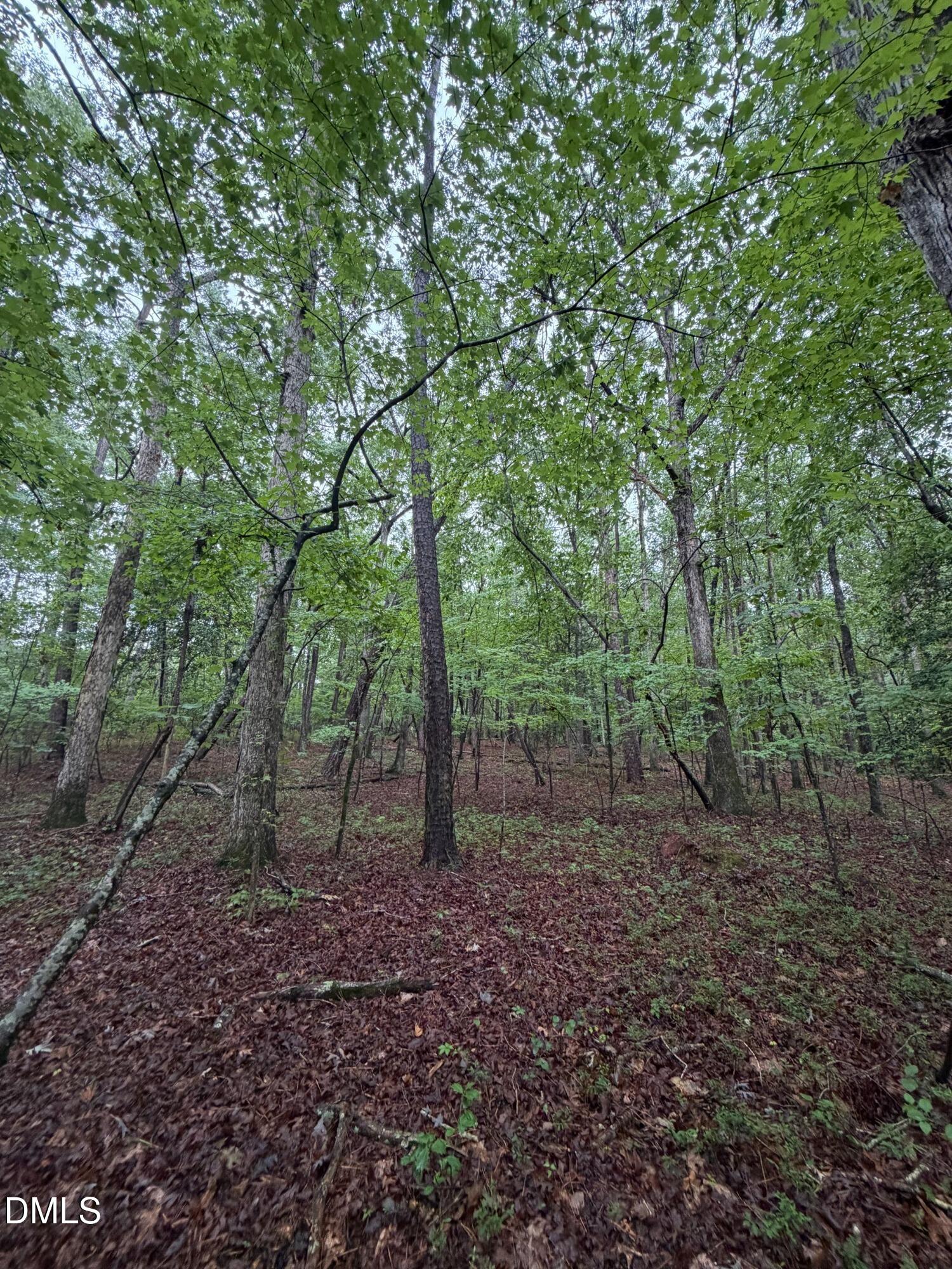 Lot 2 Claude Lewis Road Property Photo 5