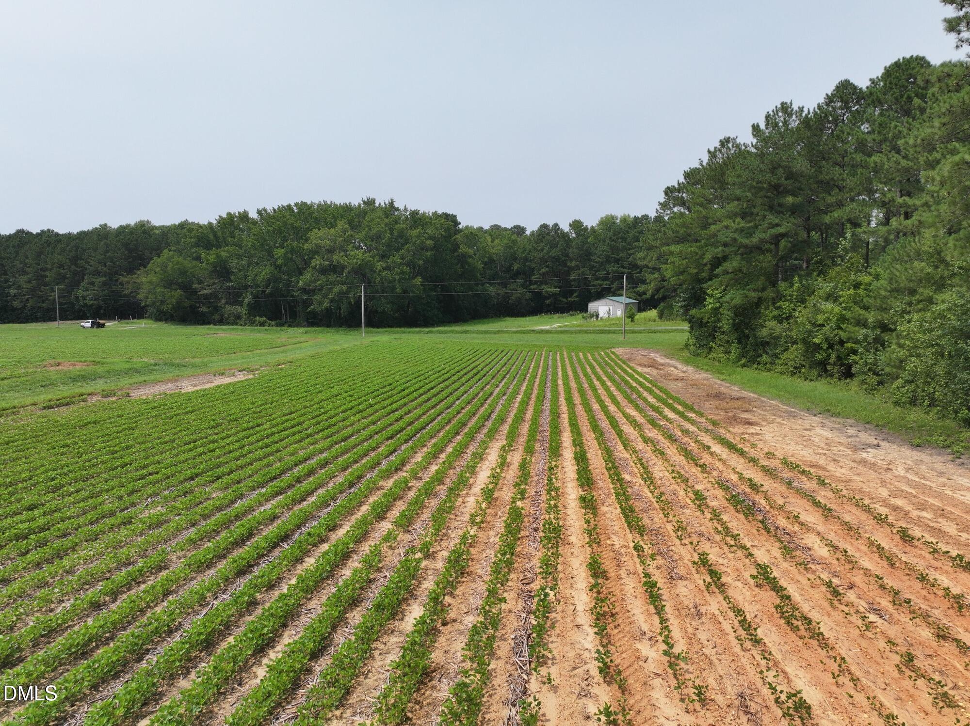 Lot 2 Claude Lewis Road Property Photo 6