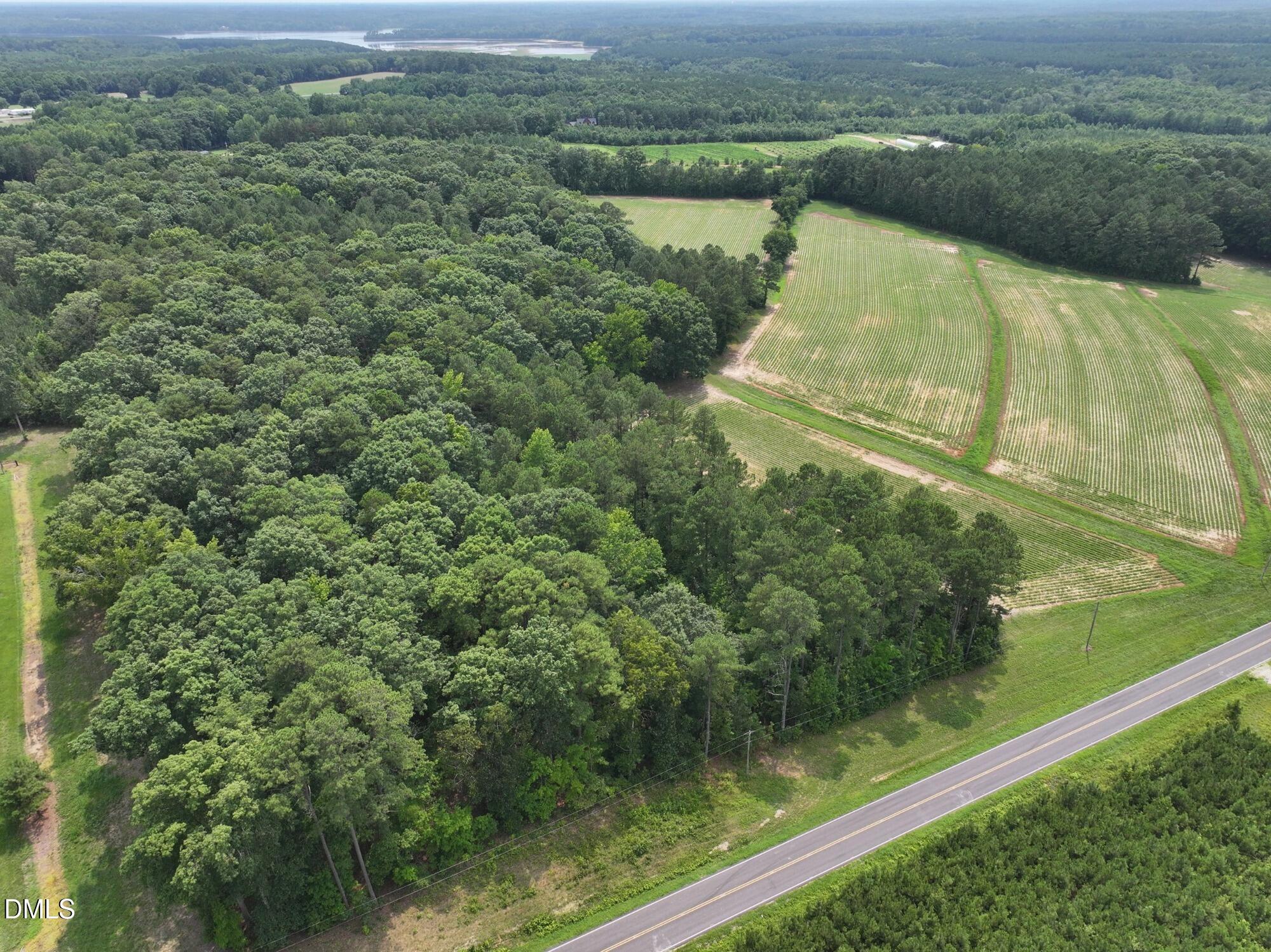 Lot 2 Claude Lewis Road Property Photo 7