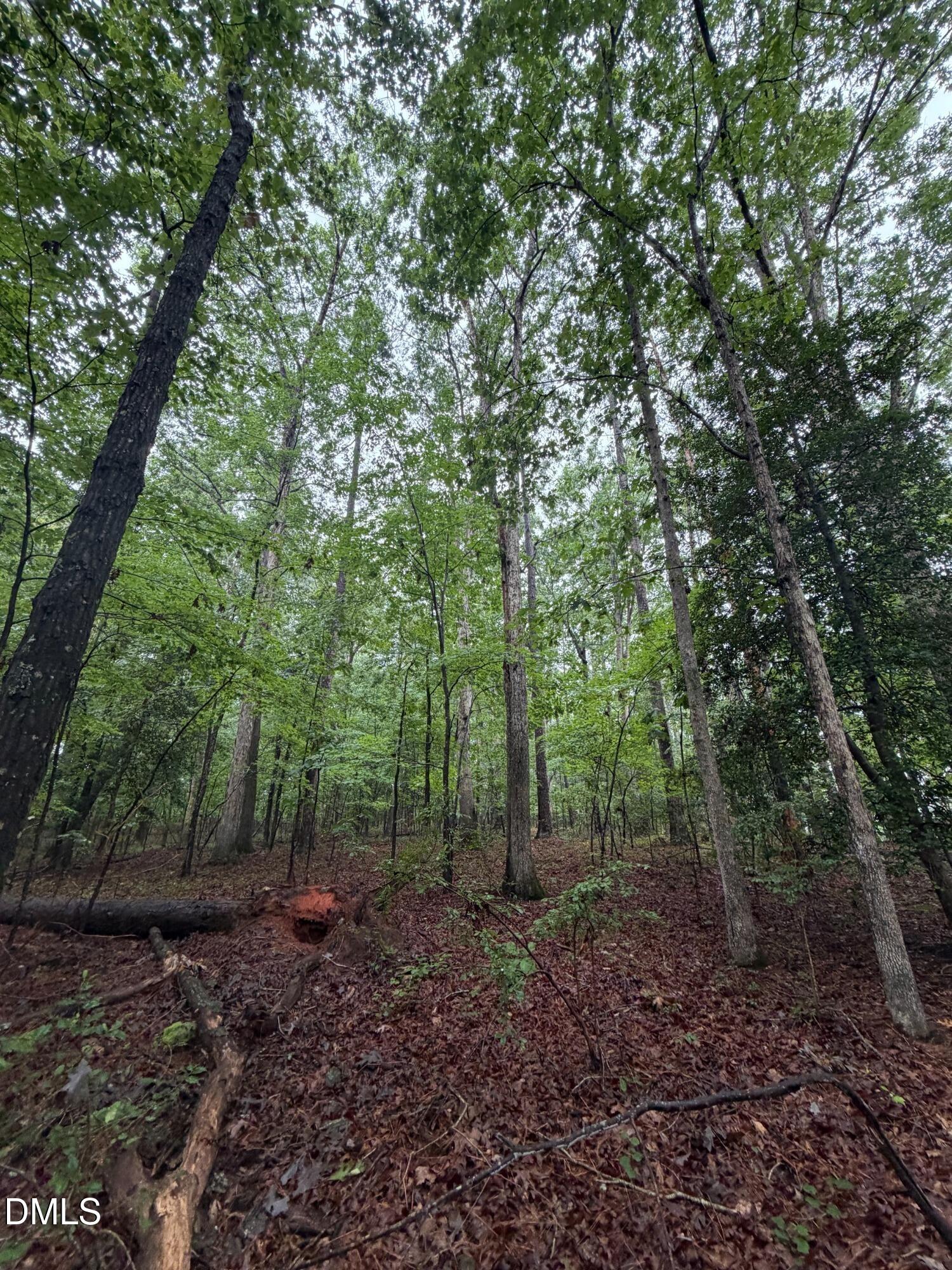 Lot 2 Claude Lewis Road Property Photo 10