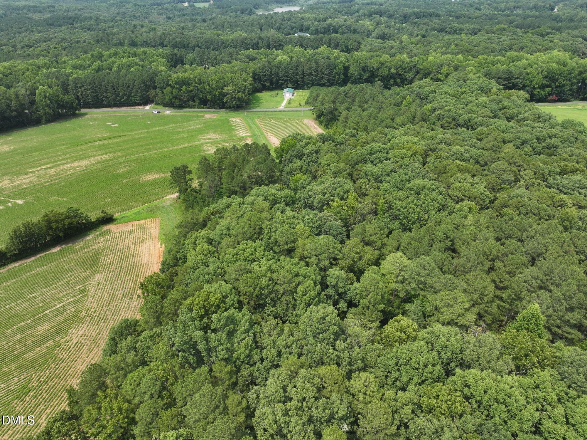 Lot 2 Claude Lewis Road Property Photo 11