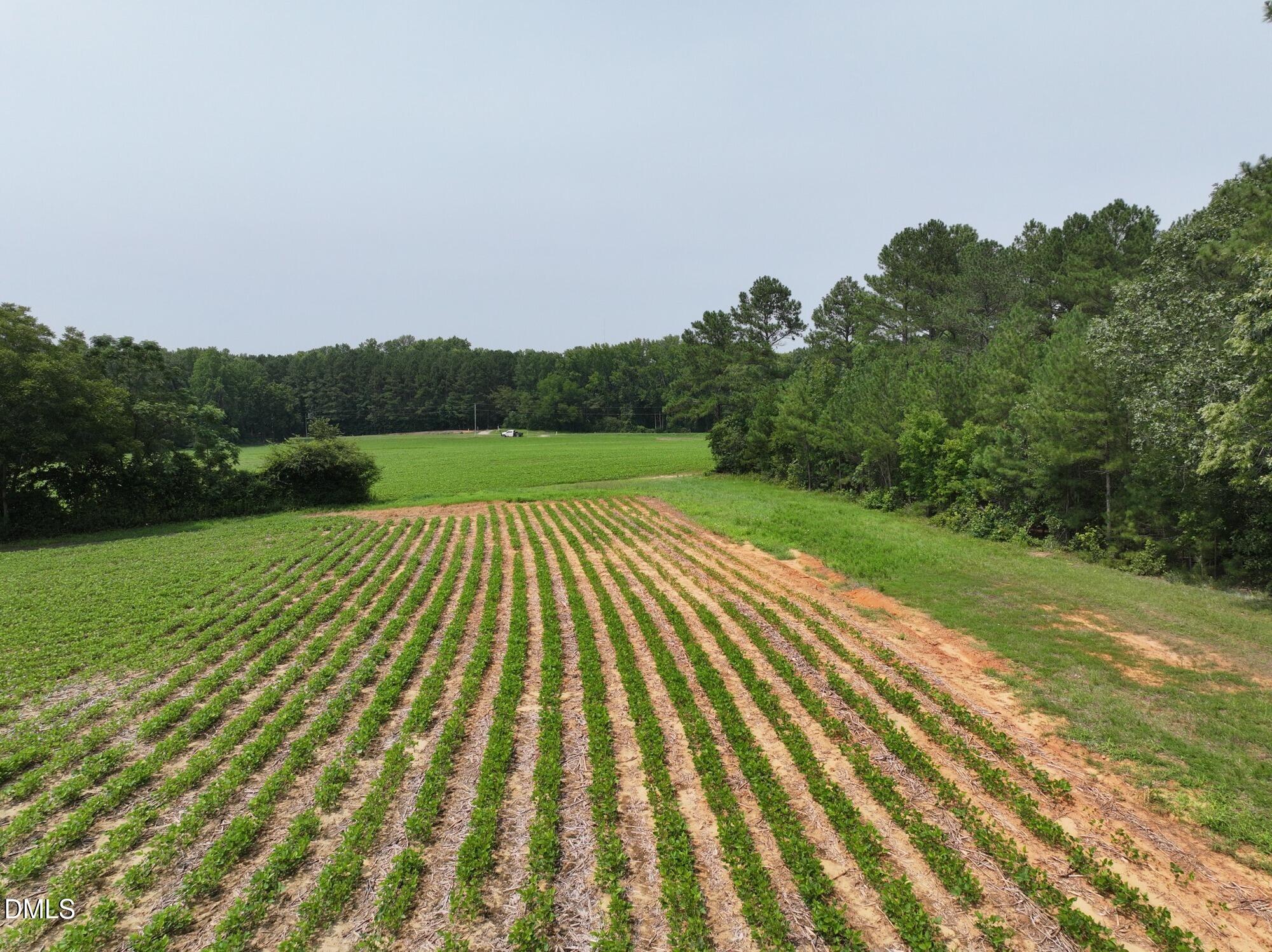 Lot 2 Claude Lewis Road Property Photo 15