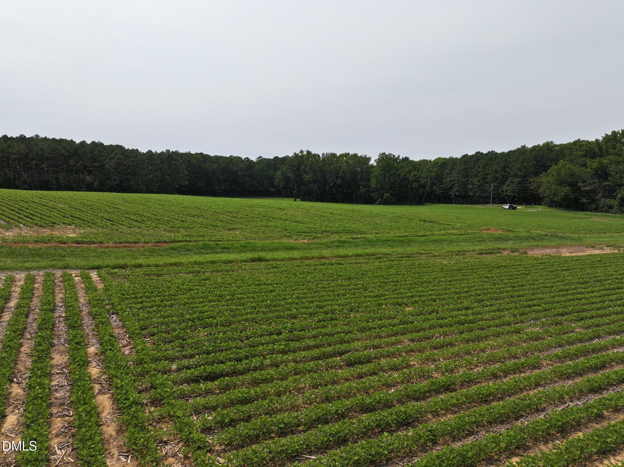Lot 2 Claude Lewis Road Property Photo 16