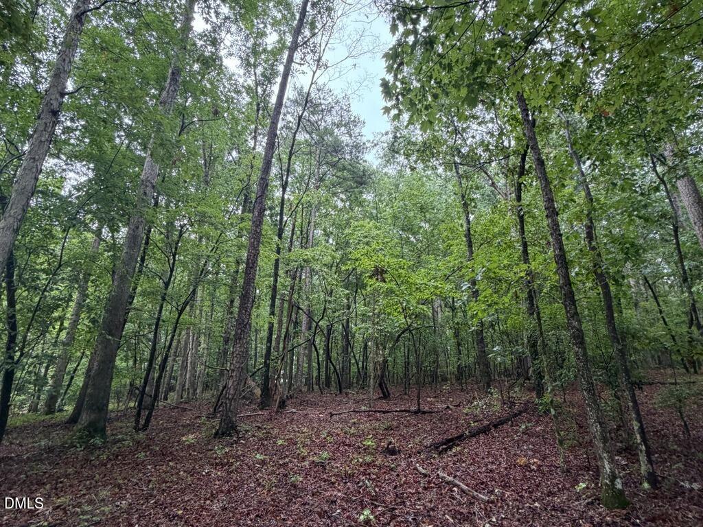 Lot 1 Claude Lewis Road Property Photo 4