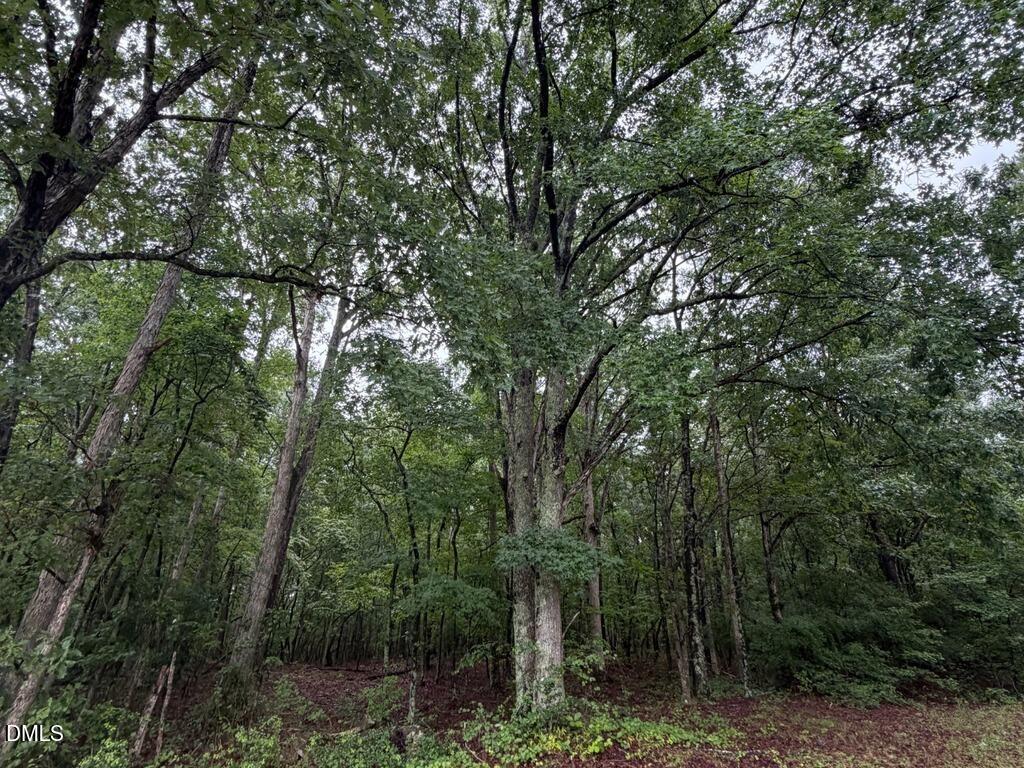 Lot 1 Claude Lewis Road Property Photo 8