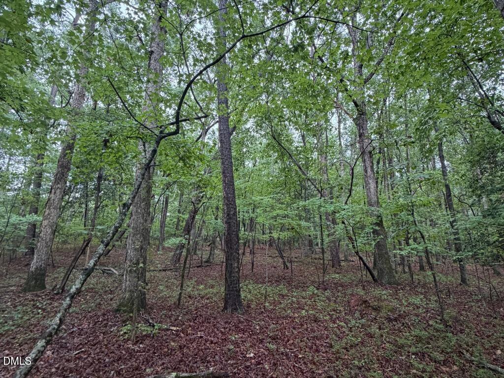 Lot 1 Claude Lewis Road Property Photo 9
