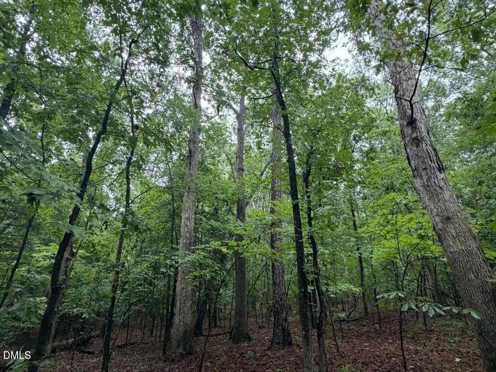 Lot 1 Claude Lewis Road Property Photo 13