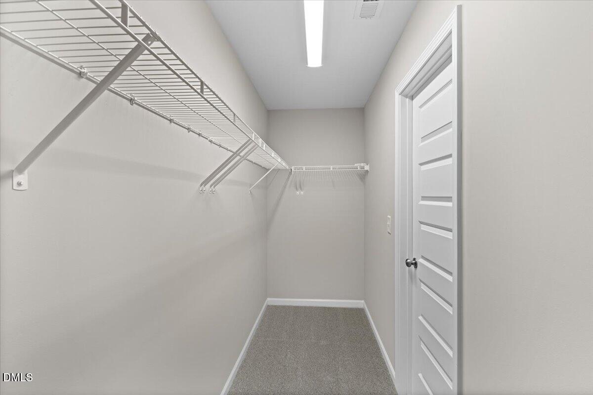 801 Grafton Peak Lane Property Photo 47