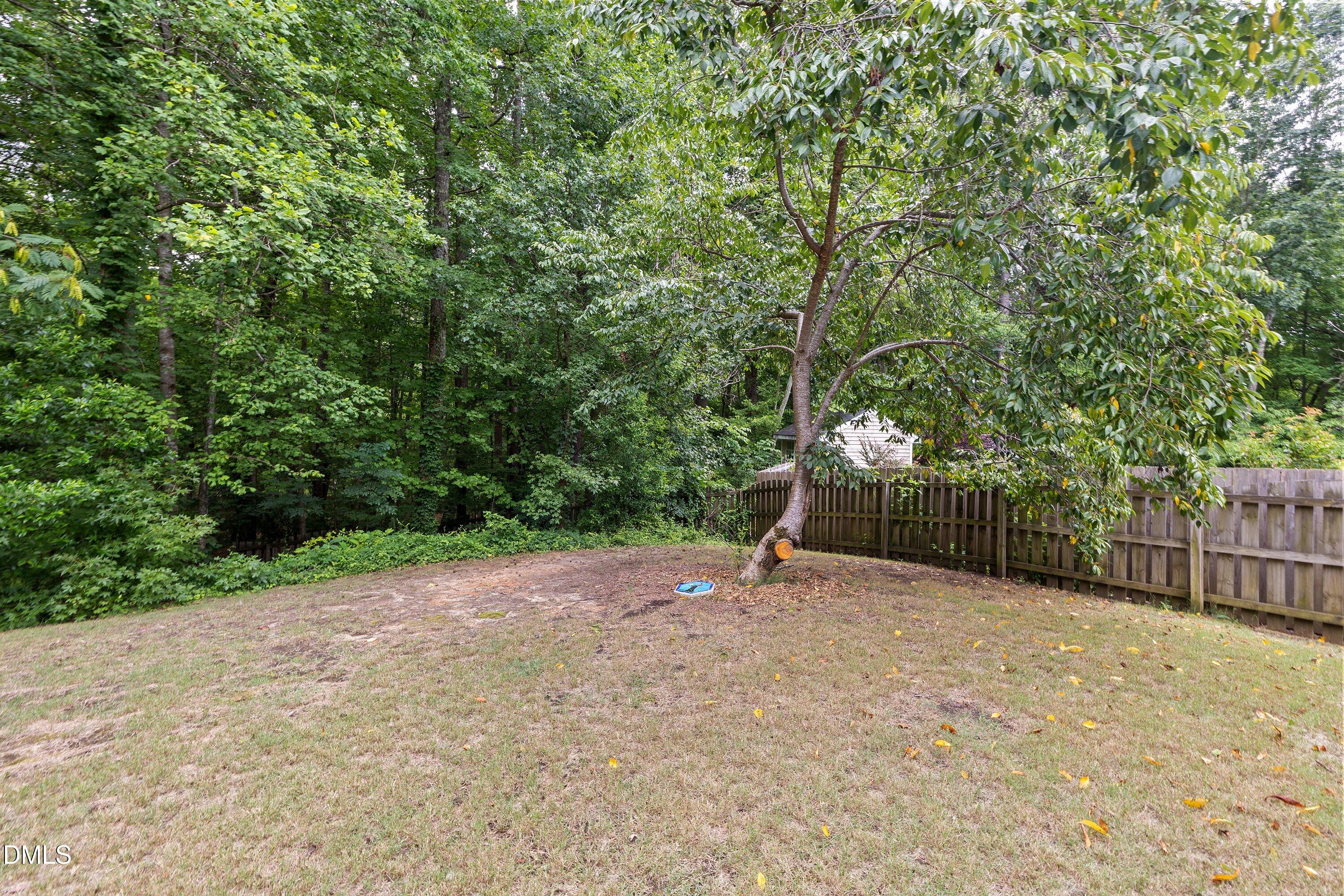 12304 Tetons Court Property Photo 40
