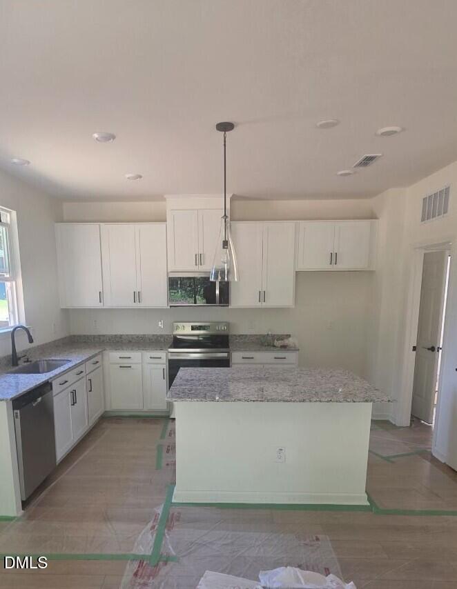 1224 Woody Drive Property Photo 4