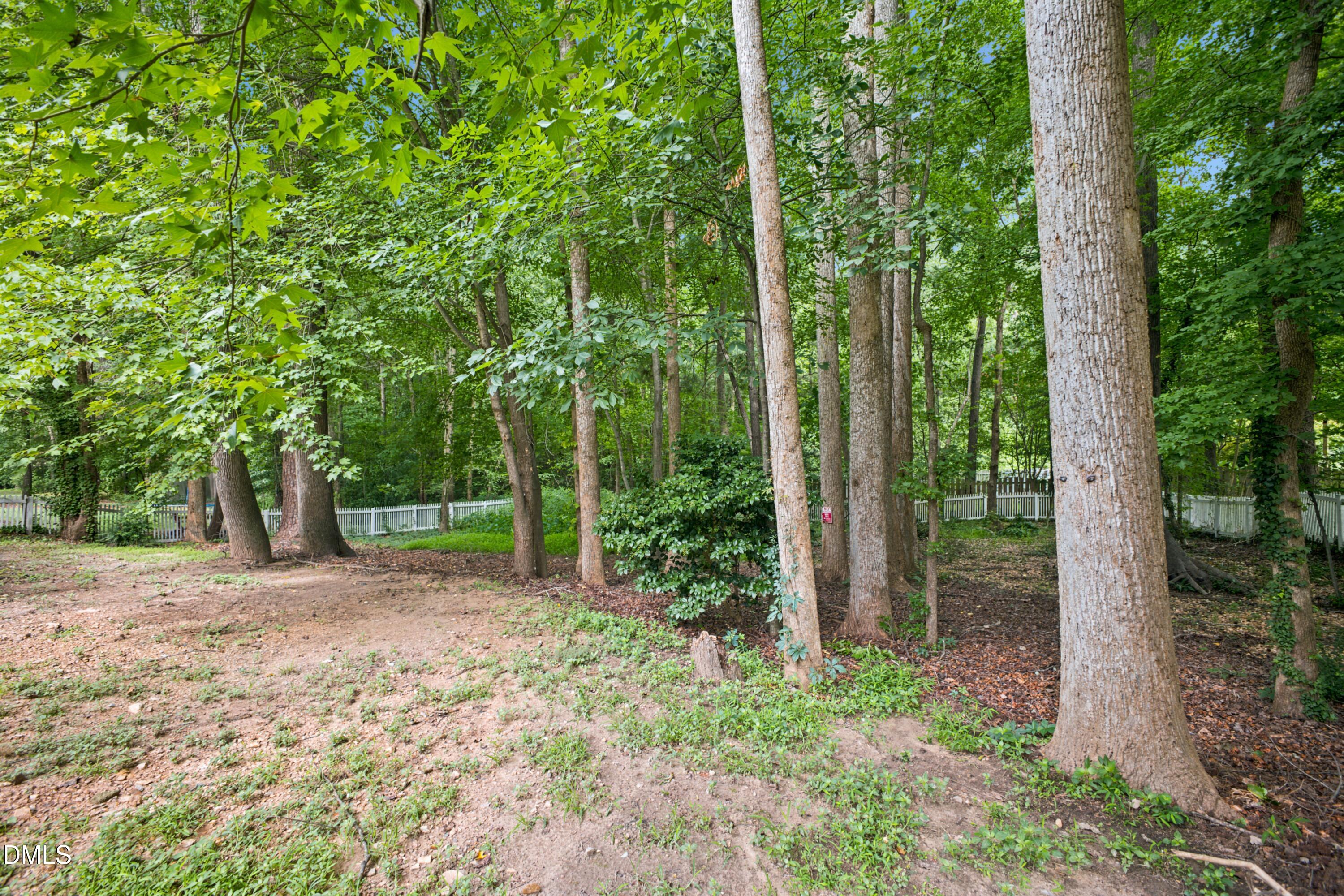 406 Cricketfield Lane Property Photo 58