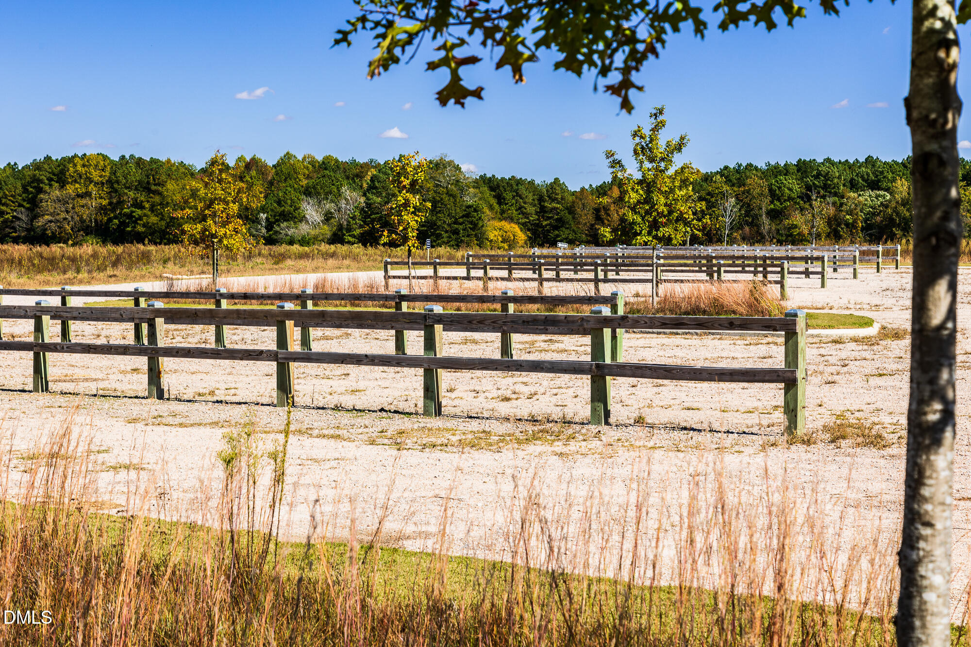 116 Sweetbay Tree Drive Property Photo 39