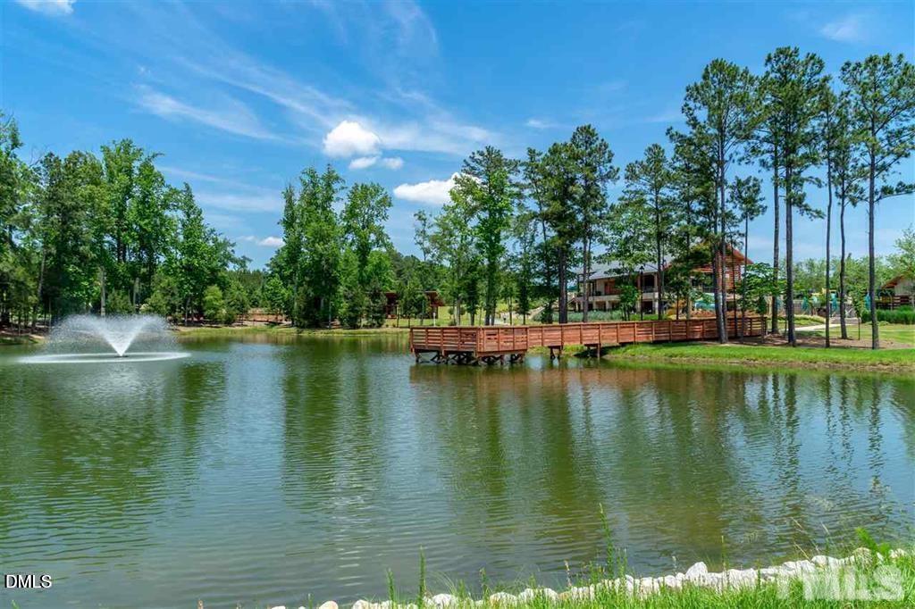 265 Tumbling River Drive Property Photo 47