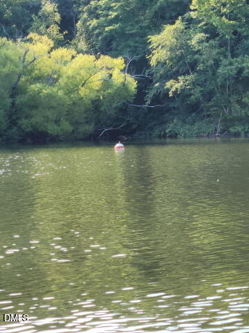 0 Kerr Lake Road Property Photo 2