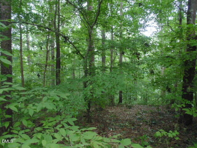 0 Kerr Lake Road Property Photo 18