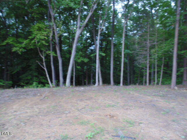 0 Kerr Lake Road Property Photo 20