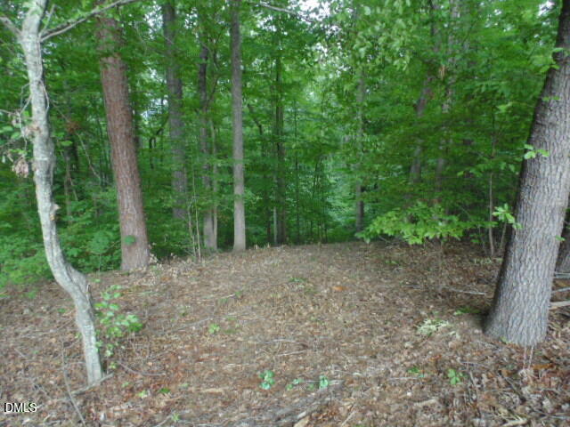 0 Kerr Lake Road Property Photo 21
