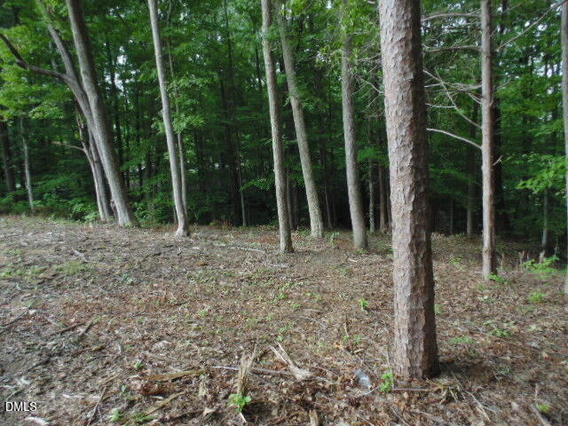0 Kerr Lake Road Property Photo 22