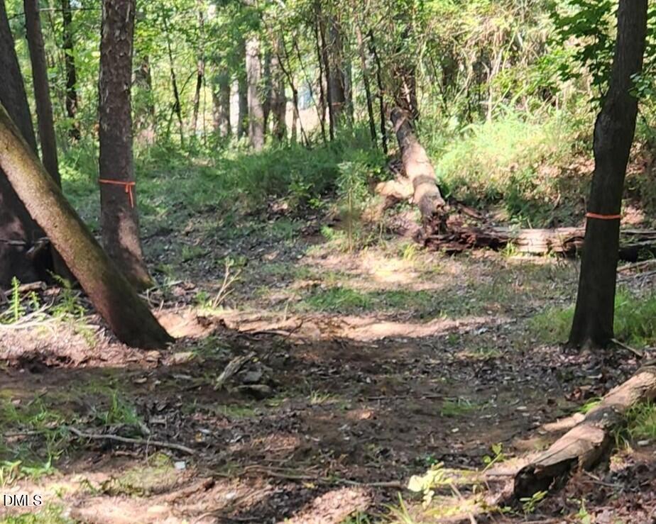 0 Kerr Lake Road Property Photo 28