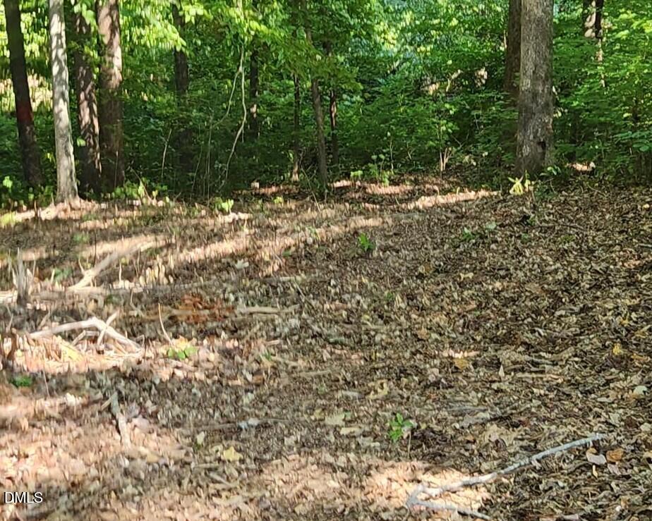 0 Kerr Lake Road Property Photo 29