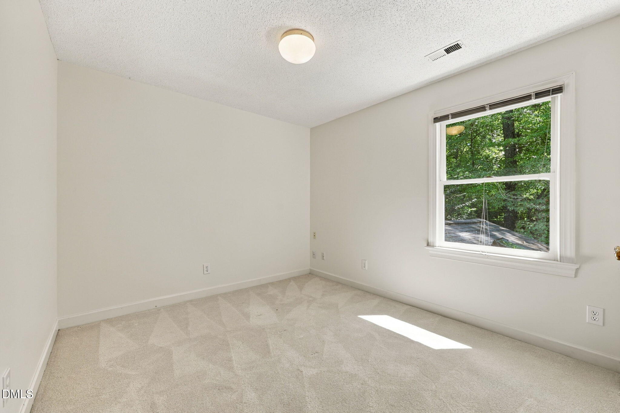 102 Robert Hunt Drive Property Photo 19