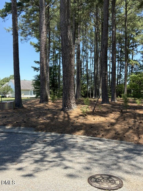 Lot 36 Ashley Lane Property Photo 1