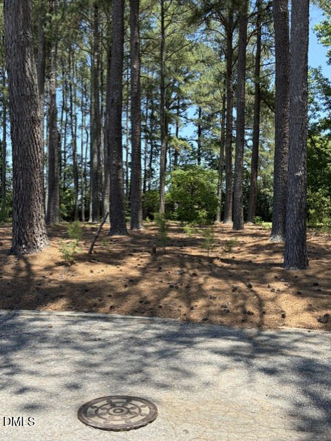 Lot 36 Ashley Lane Property Photo 2