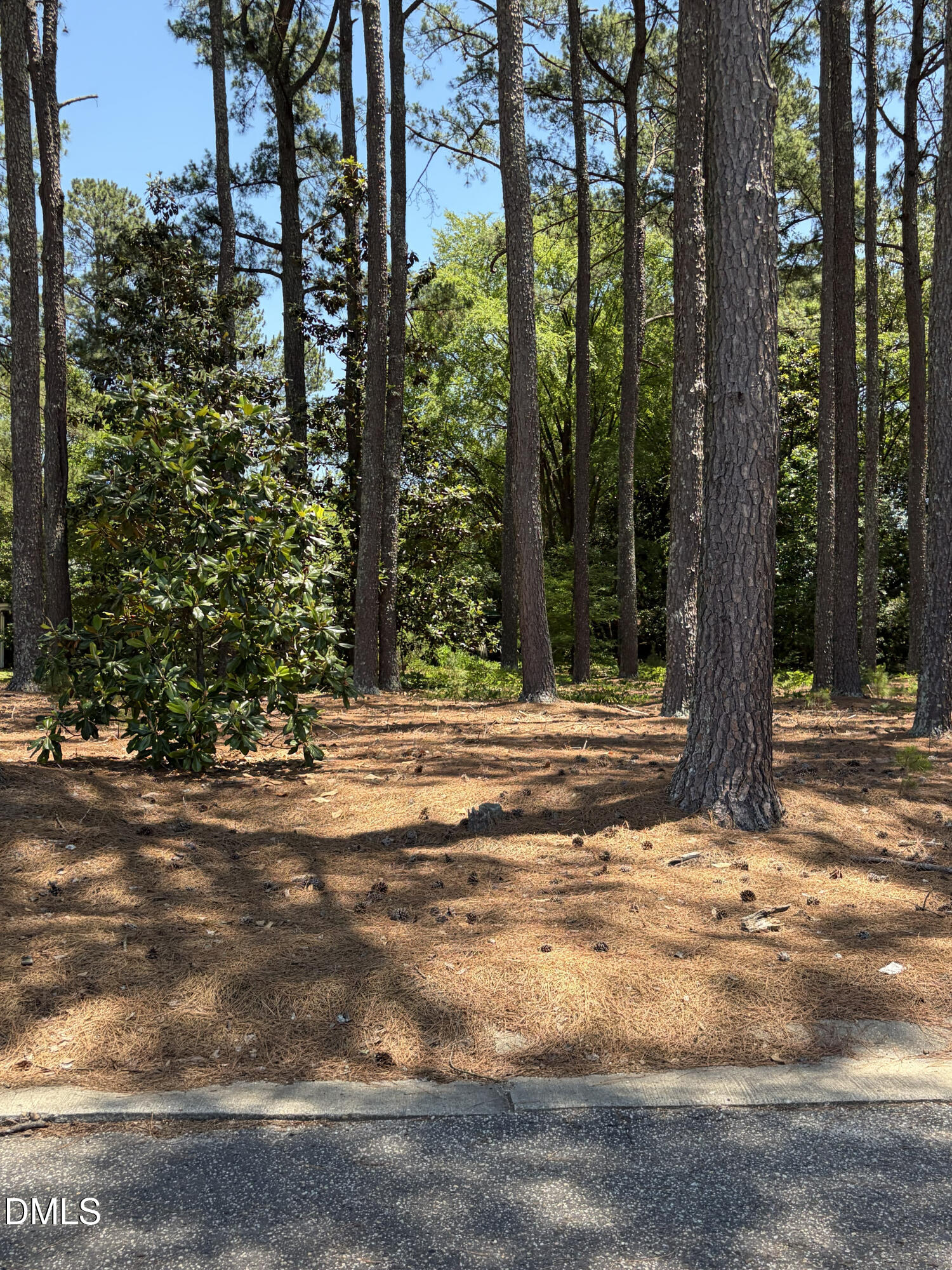 Lot 37 Ashley Lane Property Photo 1