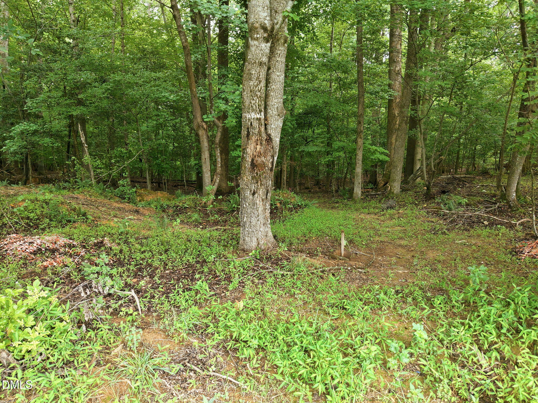 618 Bowen Road Property Photo 10