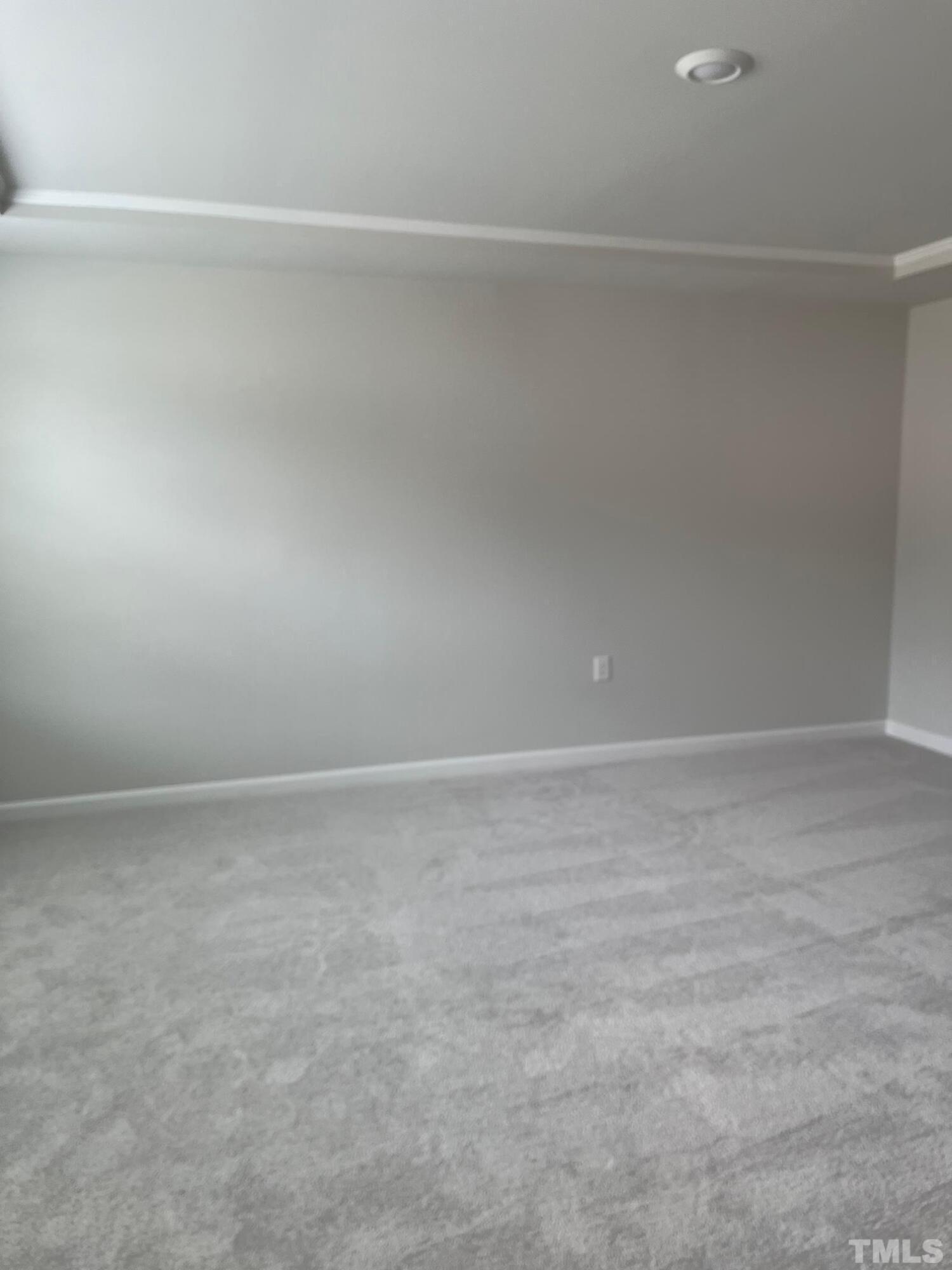 192 Tumbling Rock Way Property Photo 27