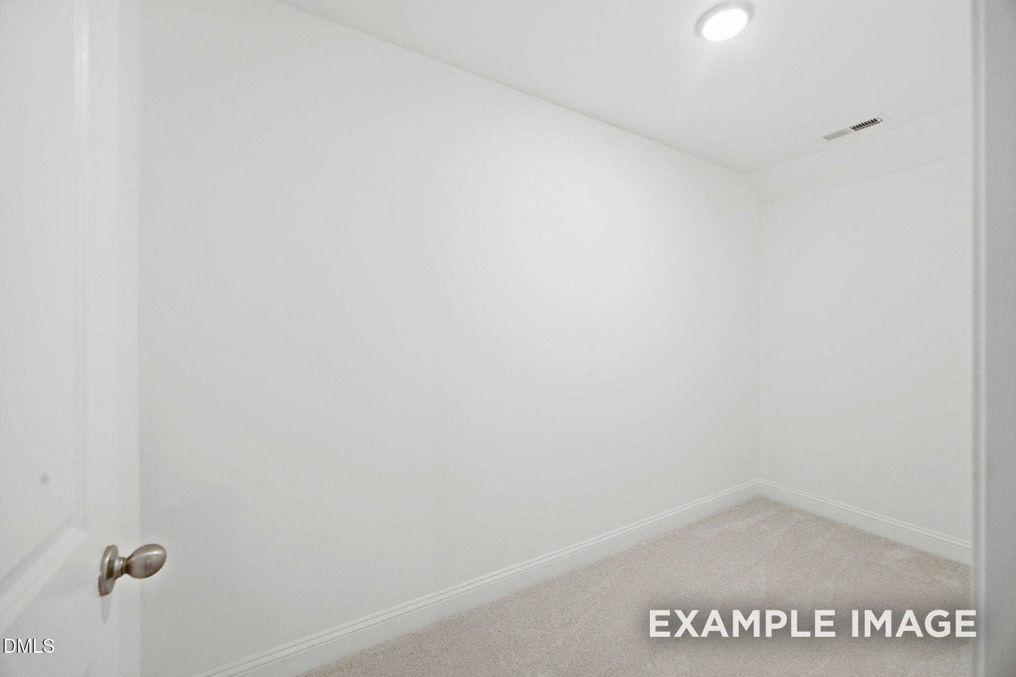209 Castle Frk Court Property Photo 18