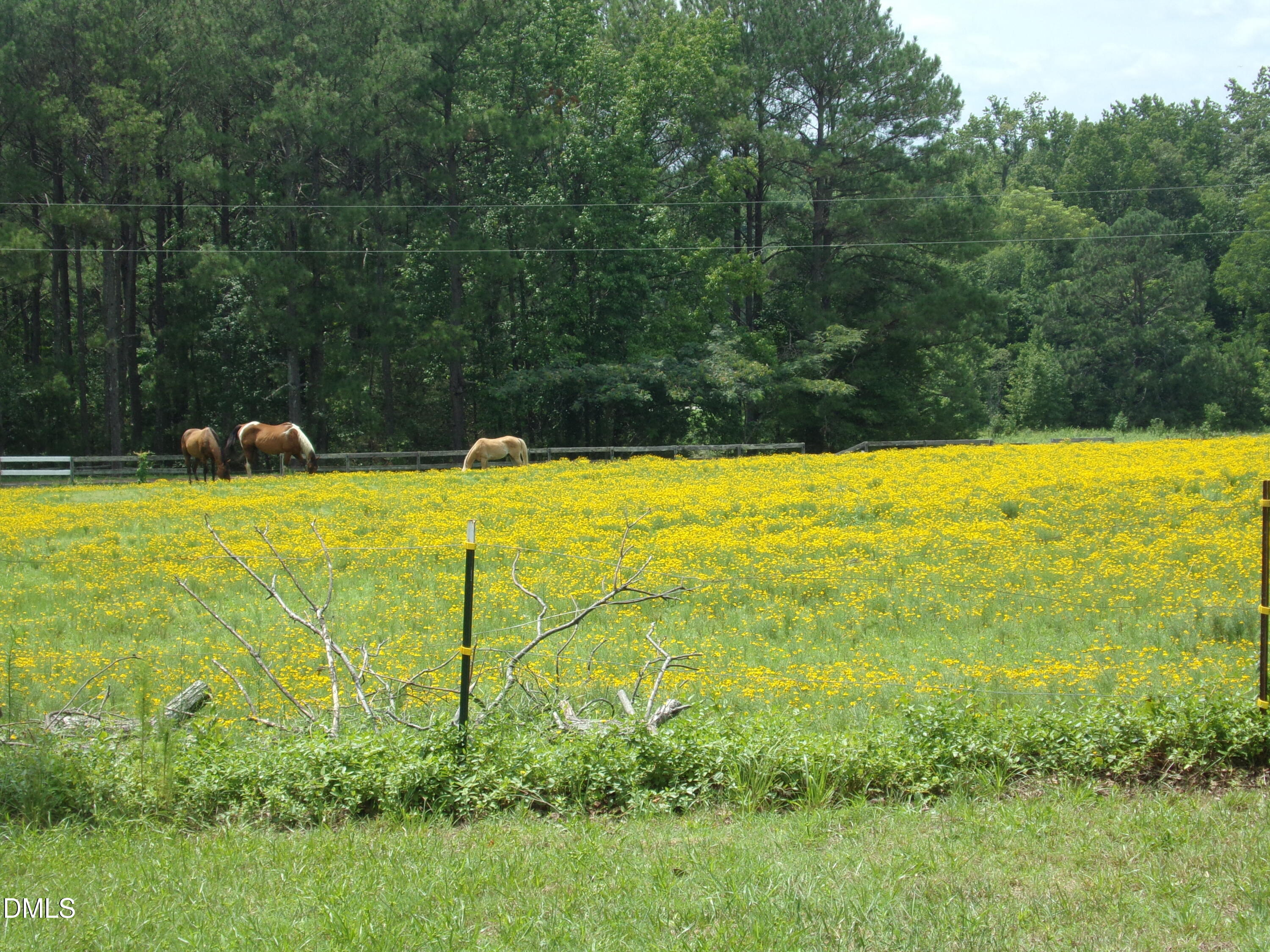 7221 Martin Road Property Photo 13