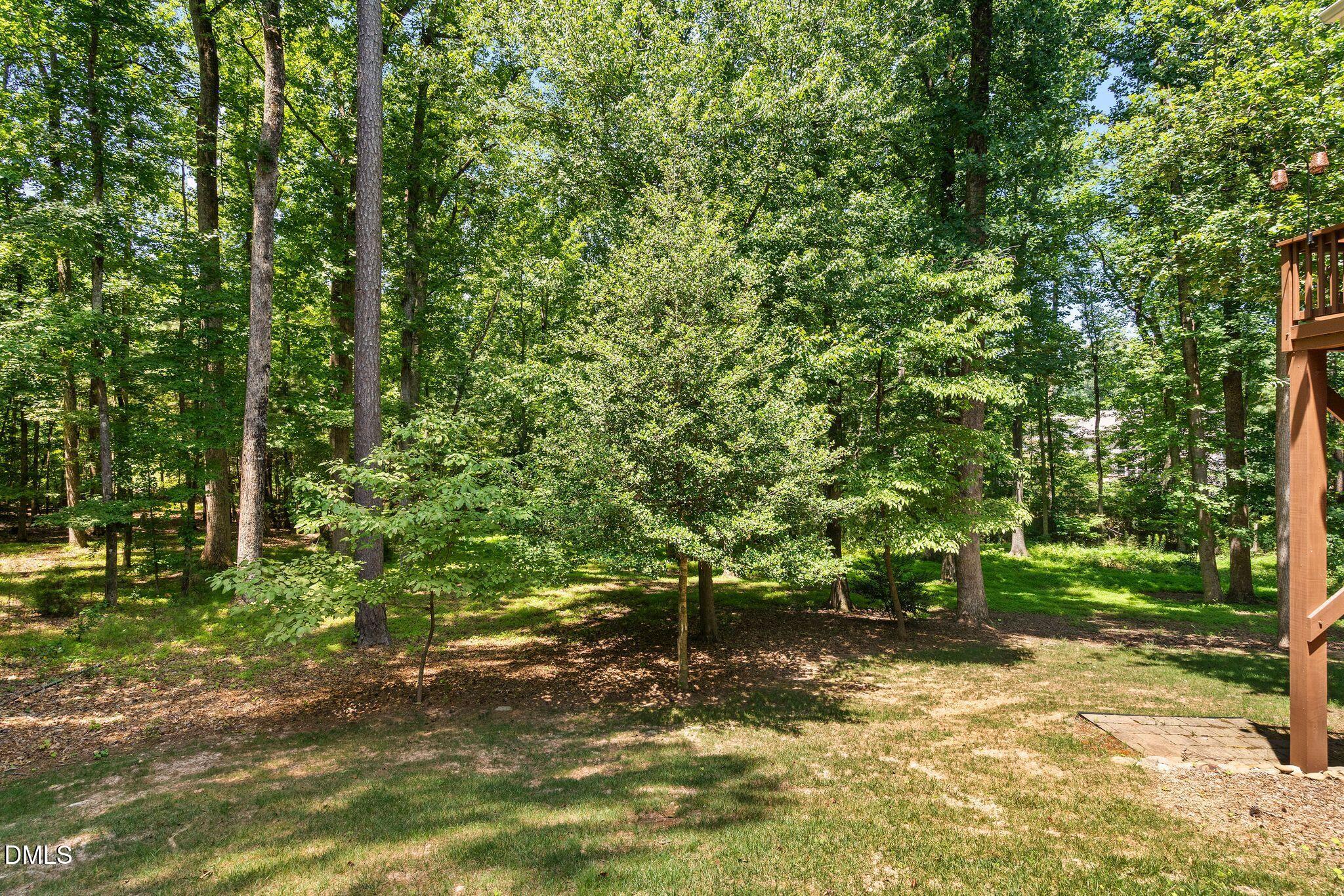 9619 Allsbrooke Drive Property Photo 63