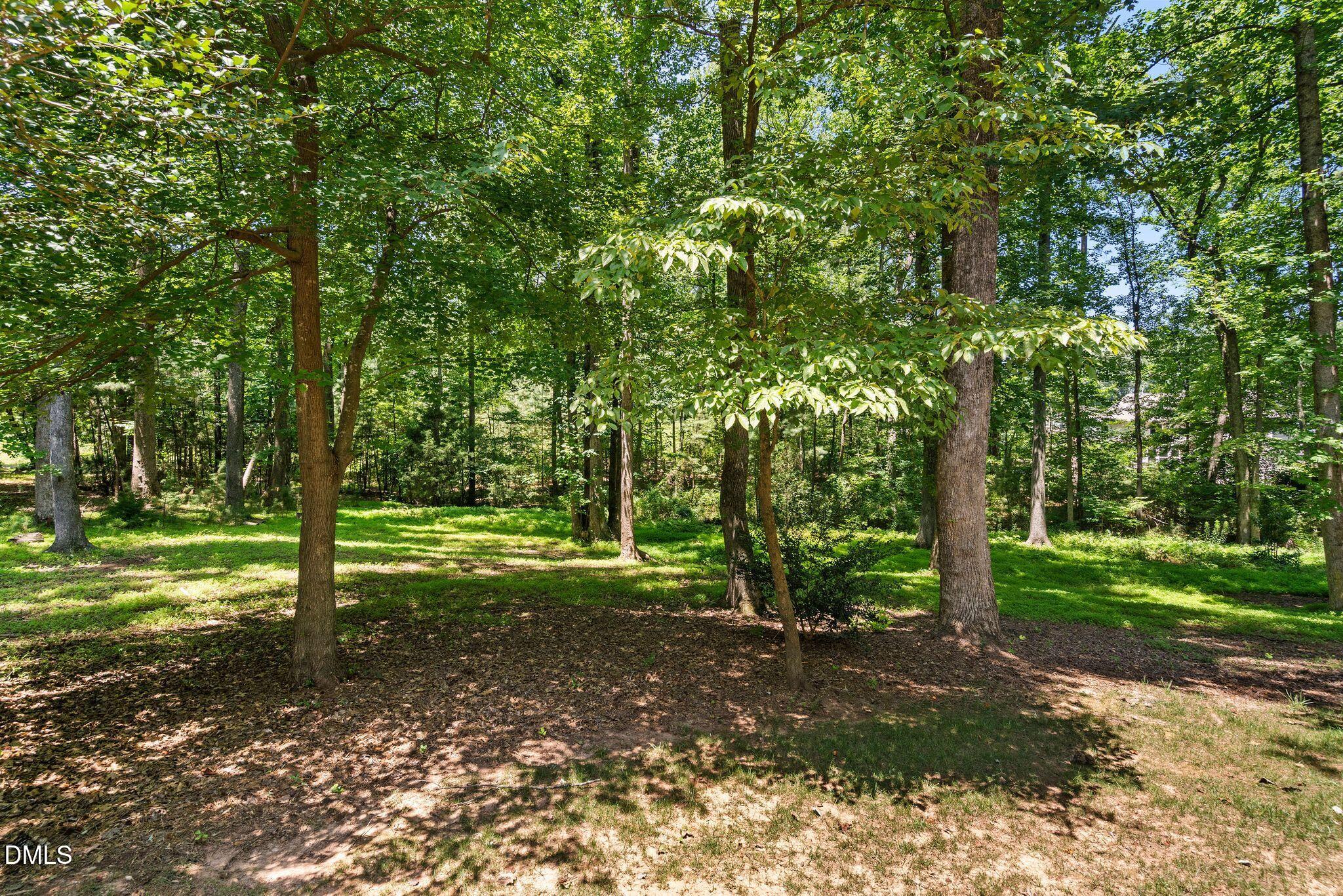 9619 Allsbrooke Drive Property Photo 64