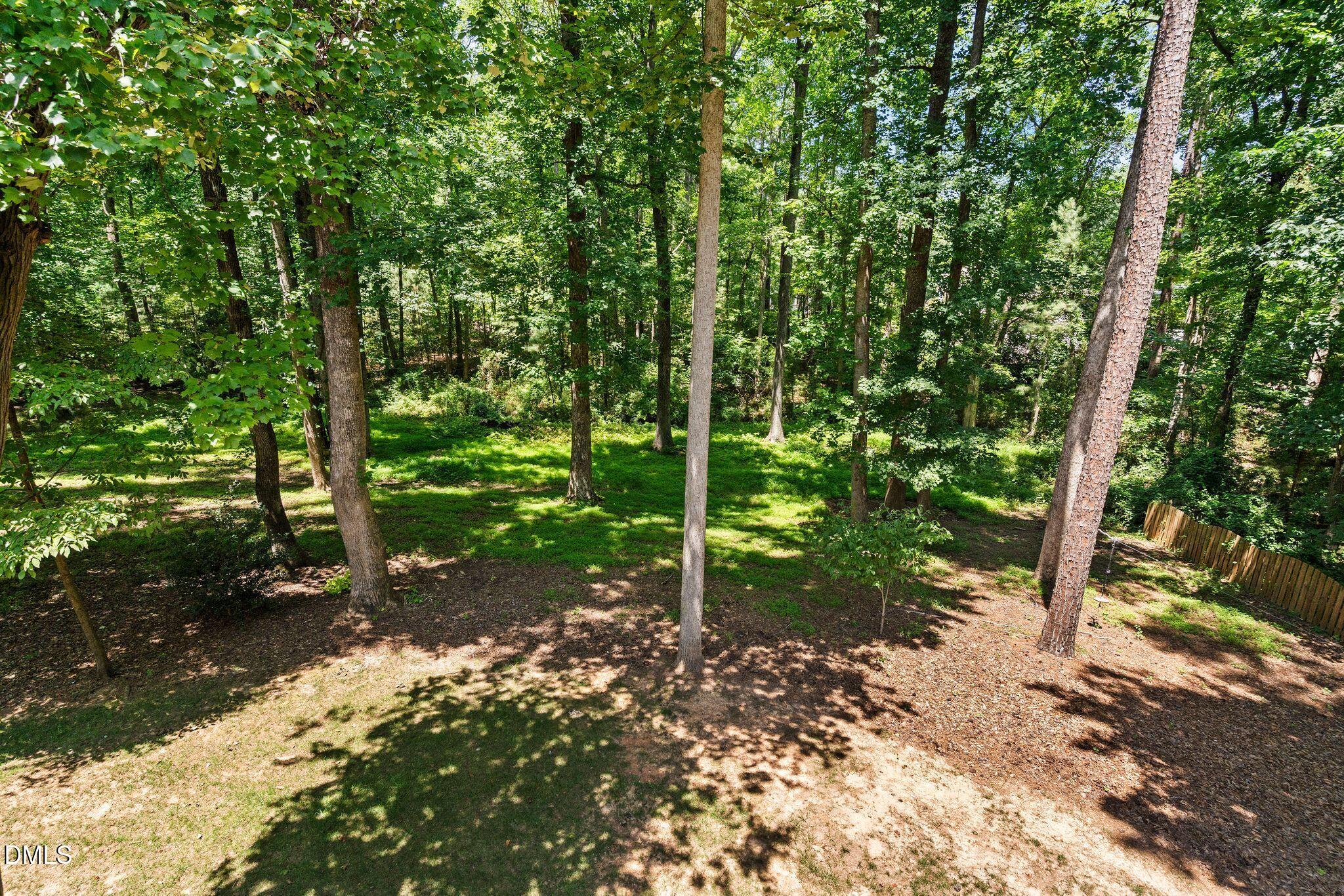 9619 Allsbrooke Drive Property Photo 70