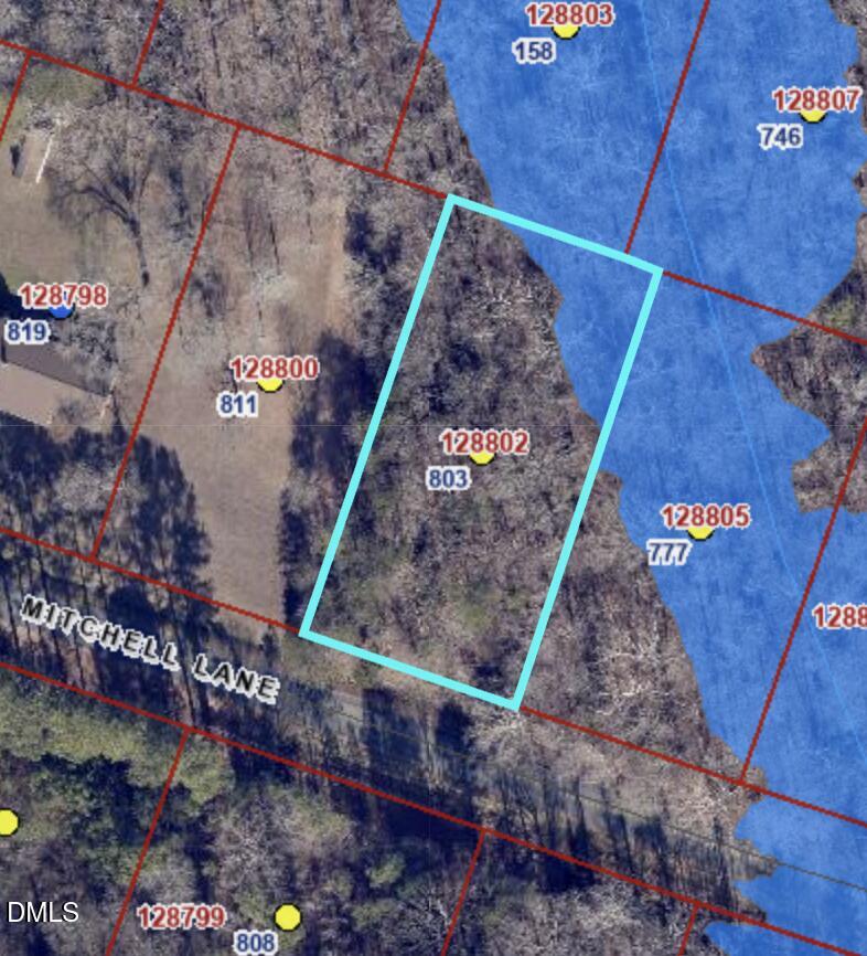 803 Mitchell Lane Property Photo 3