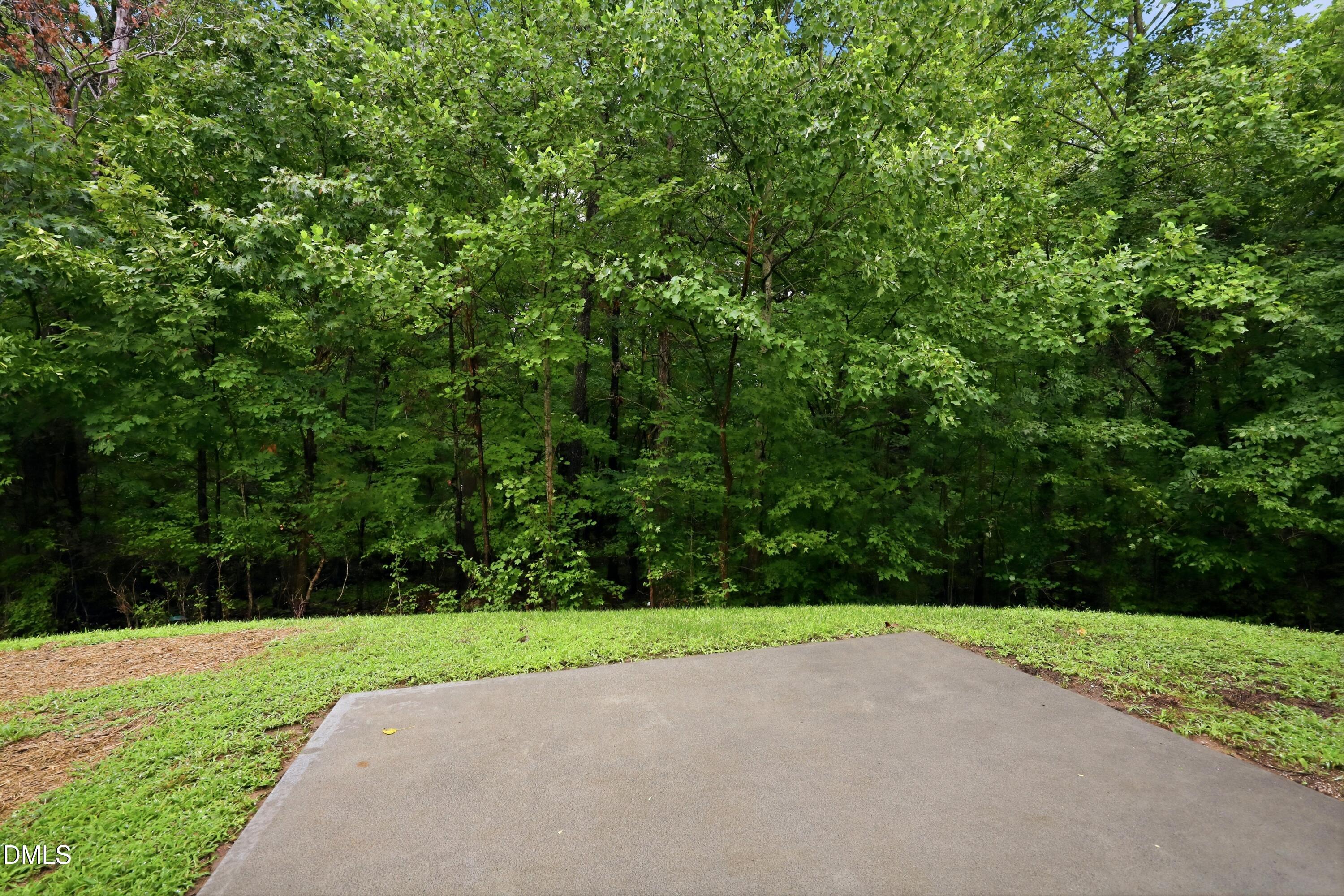5 White Spruce Court Property Photo 54