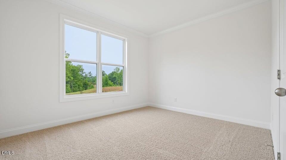 12 Greenwillow Drive Property Photo 26