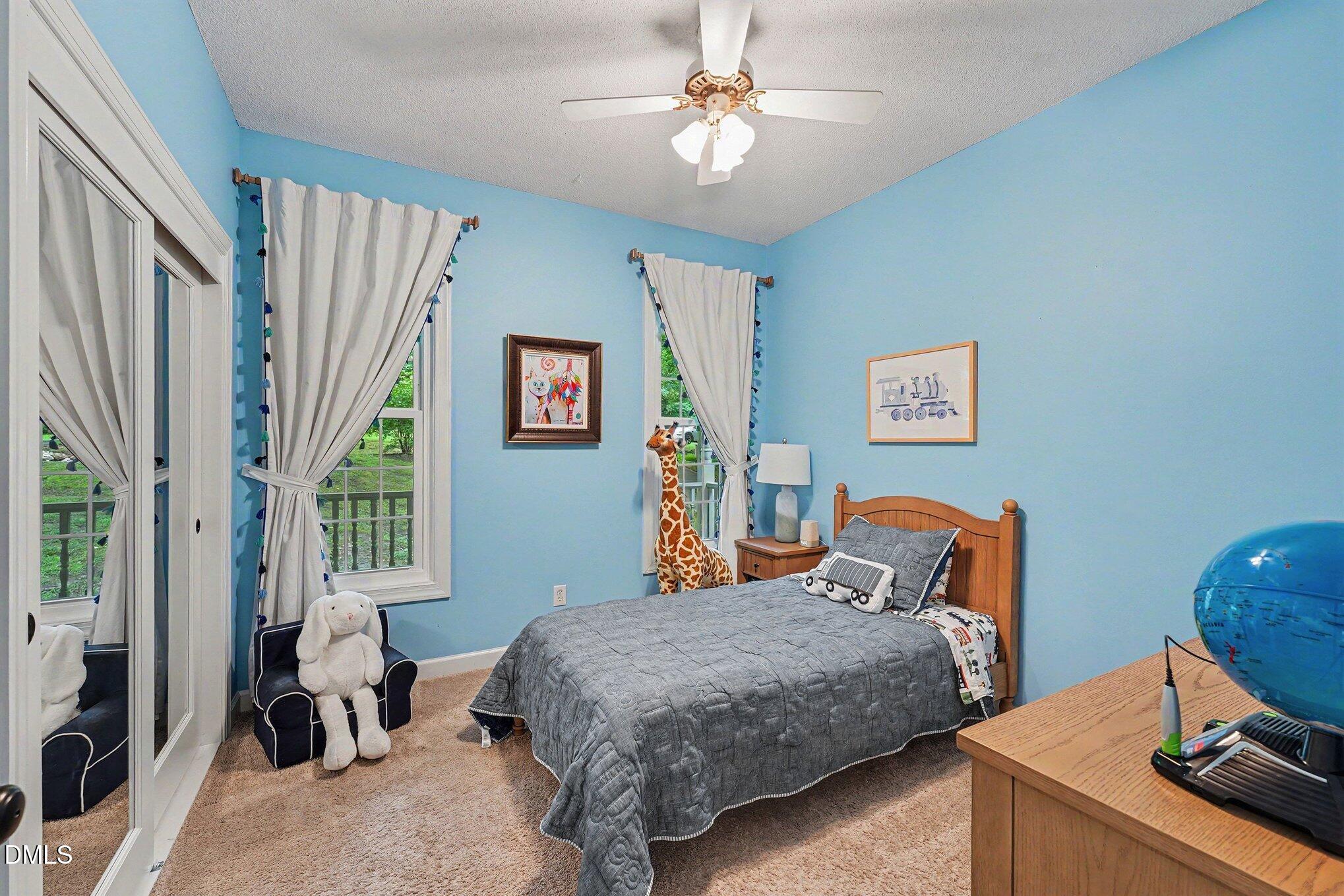 6233 Hilbert Ridge Drive Property Photo 25