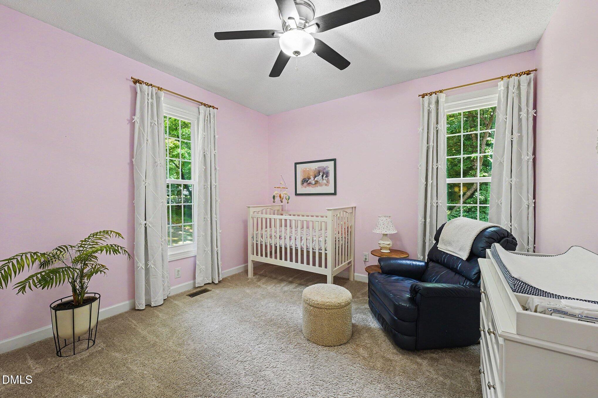 6233 Hilbert Ridge Drive Property Photo 28