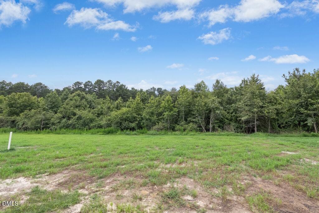 128 Hummingbird Grv Lane Property Photo 28