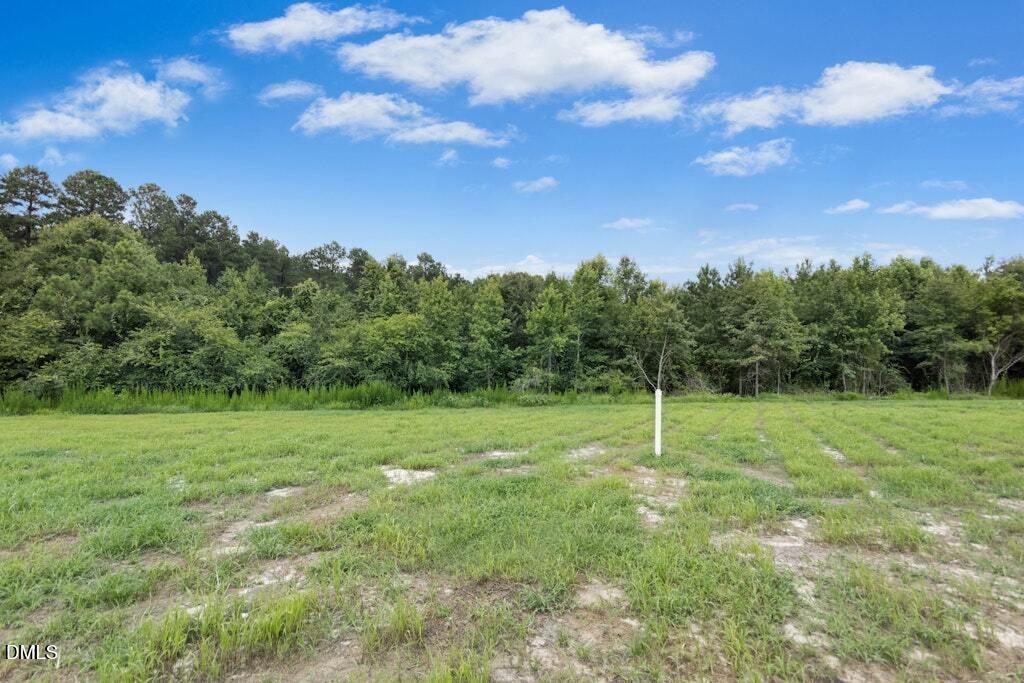 128 Hummingbird Grv Lane Property Photo 29
