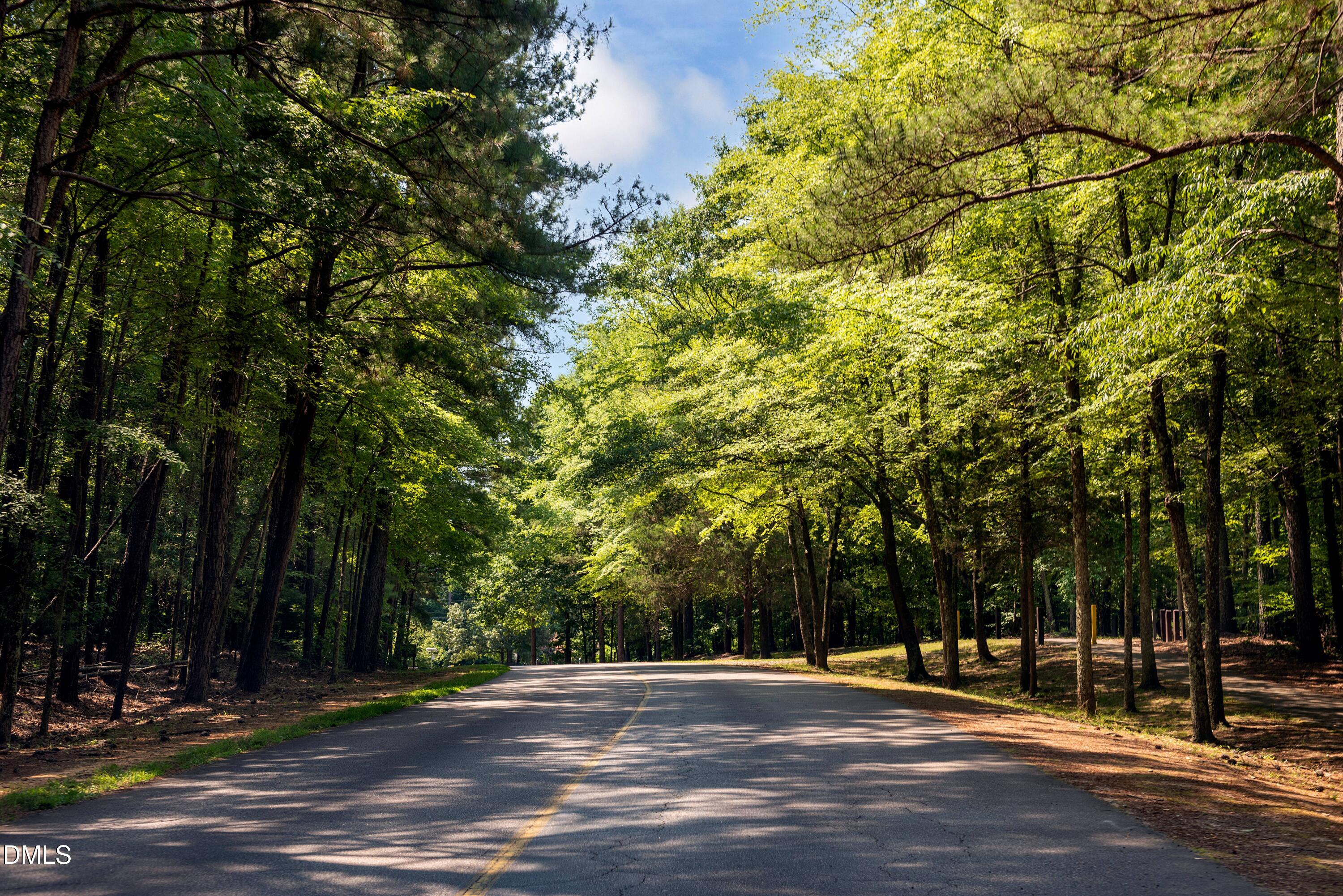 10542 Bailey Branch Drive 201 Property Photo 54