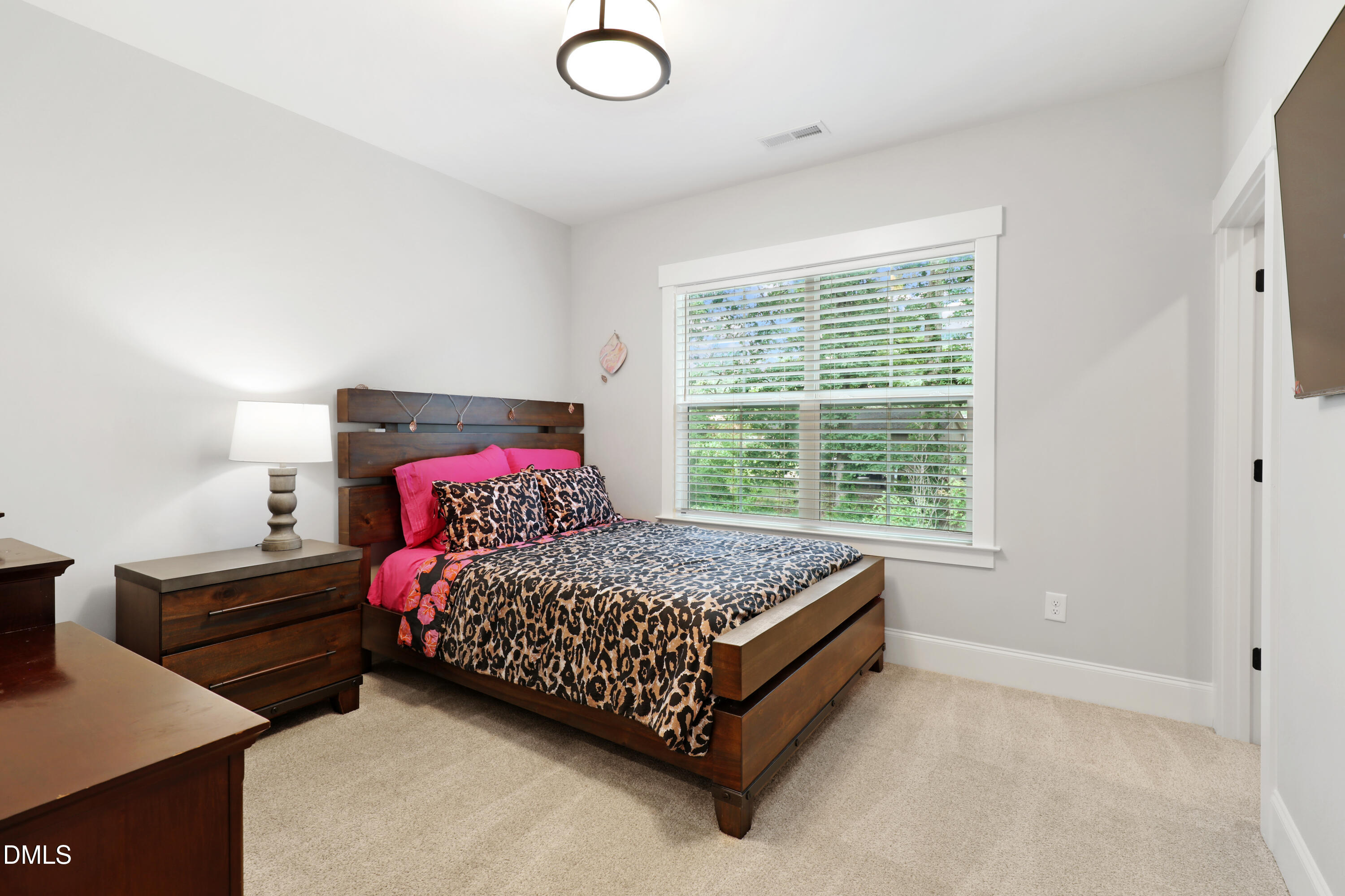 4312 Chandler Cv Way Property Photo 49